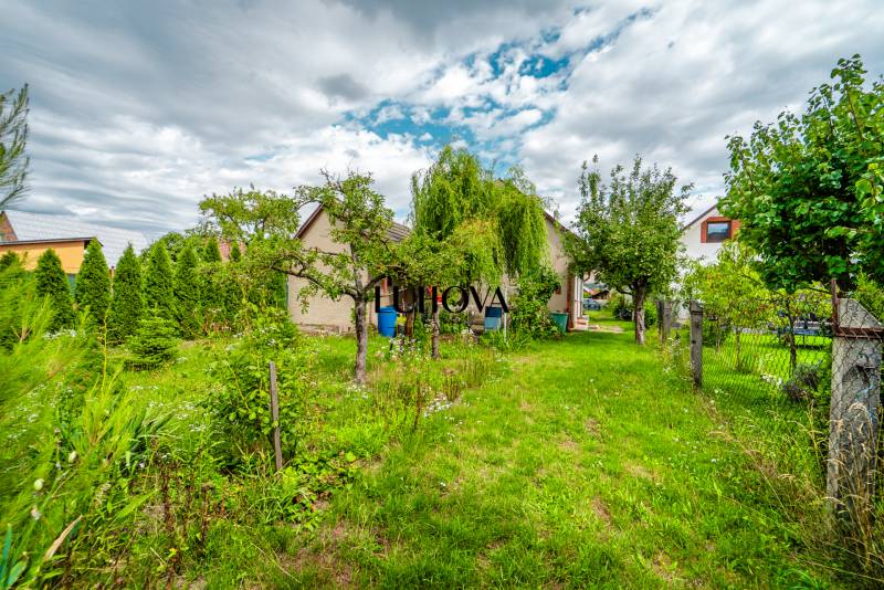 The garden of the family house on Pavla Koyša in Ladce with dense greenery and trees.
