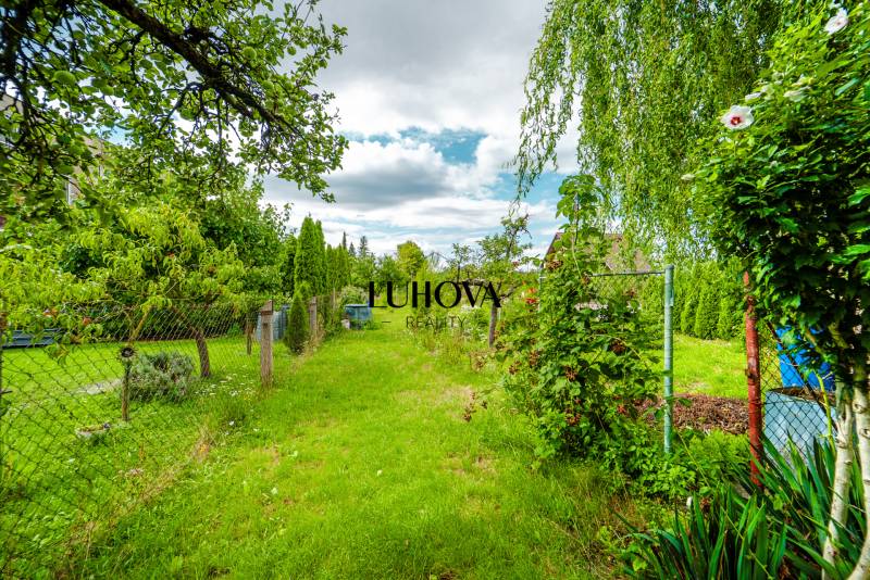 A garden full of greenery and fruit trees at a family house in the village of Ladce on Pavla Koyša.