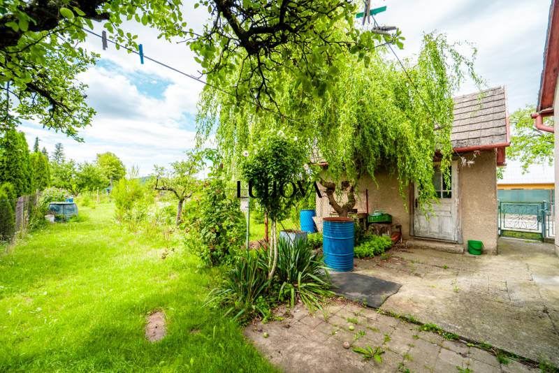 The garden at the family house on Pavla Koyša Street in Ladce with lush green vegetation.