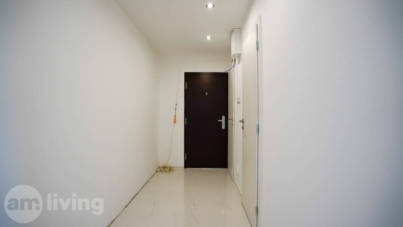 A hallway in a 2-room apartment with white walls and dark doors.