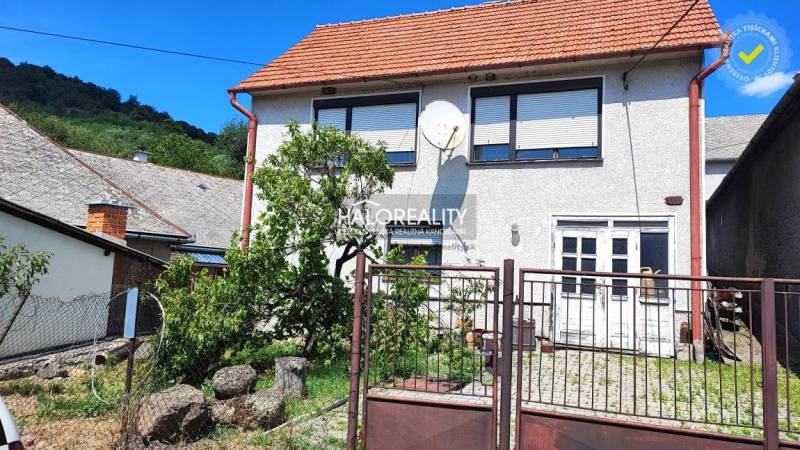 Cottage kitchen: stove, classic furniture, colorful walls, window with lace curtain.