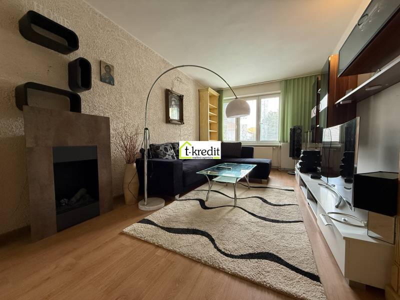 Living room in a two-room apartment with a sofa, fireplace, and television.