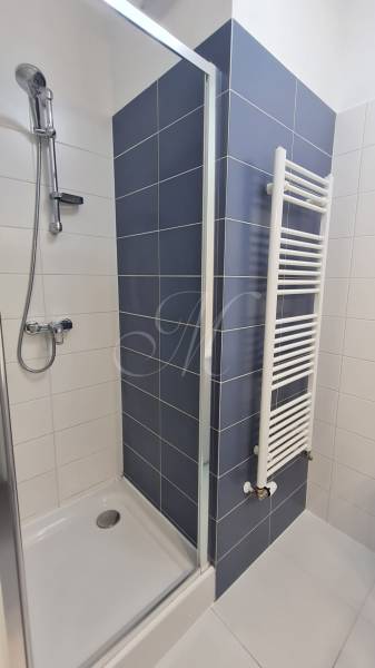 A shower corner with dark tiles and a ladder radiator in a 2-room apartment.
