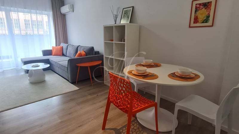 Living room in a two-room apartment with a sofa, table, and dining area.