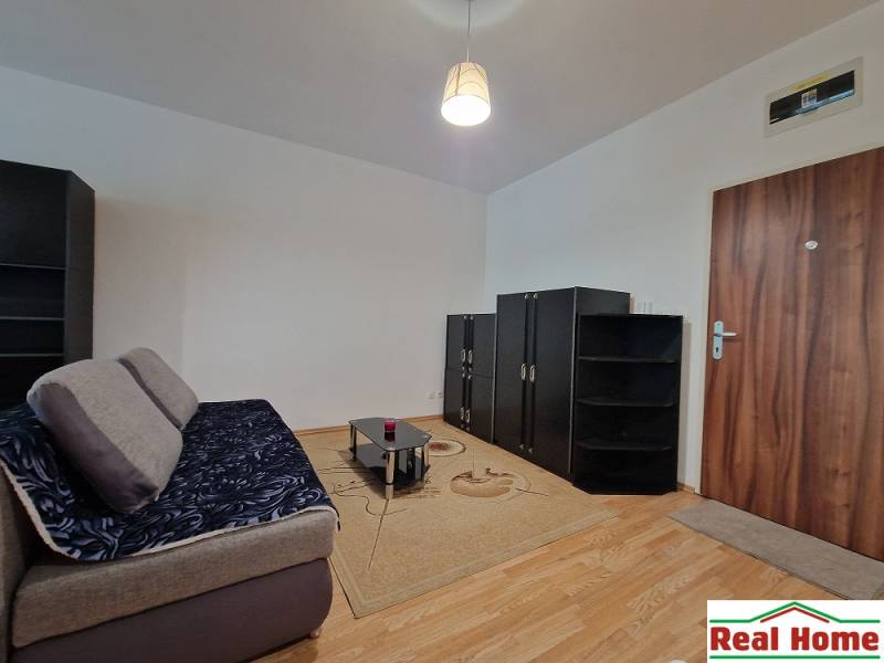 Living room in a one-room apartment with a sofa, cabinets, and a coffee table.