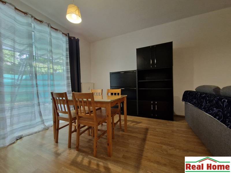 Dining table with chairs, cabinets, and a sofa in a studio apartment.