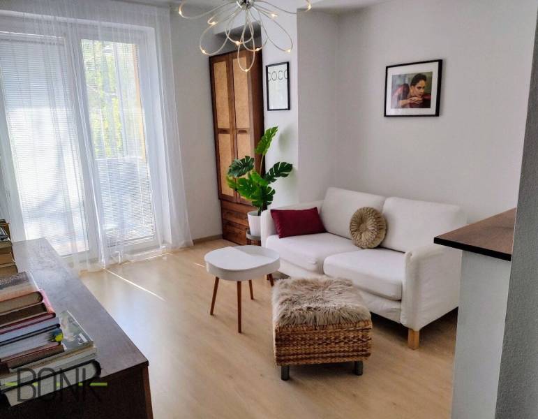 Living room in a two-room apartment with a white sofa and a plant.