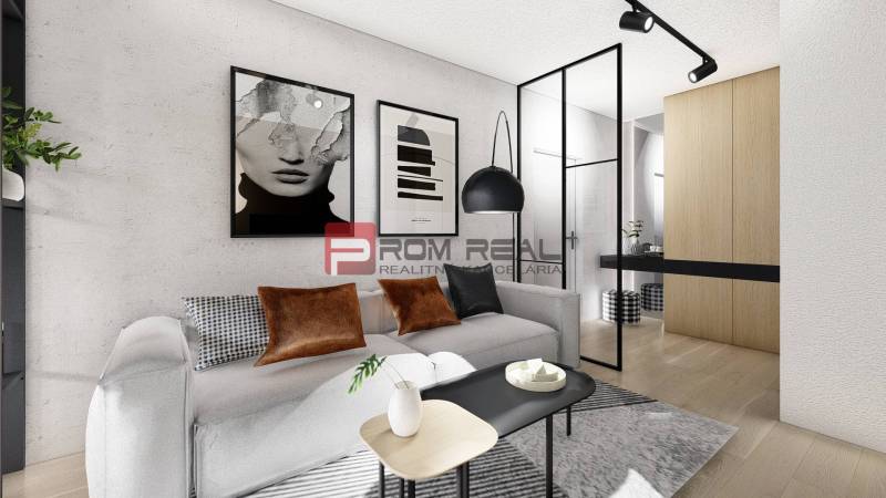 Living room of a two-room apartment with a sofa, modern posters, and wooden flooring.