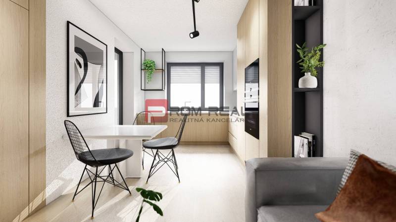 Dining area, 2-room apartment; black and white decoration, plant, modern furniture, light wood.