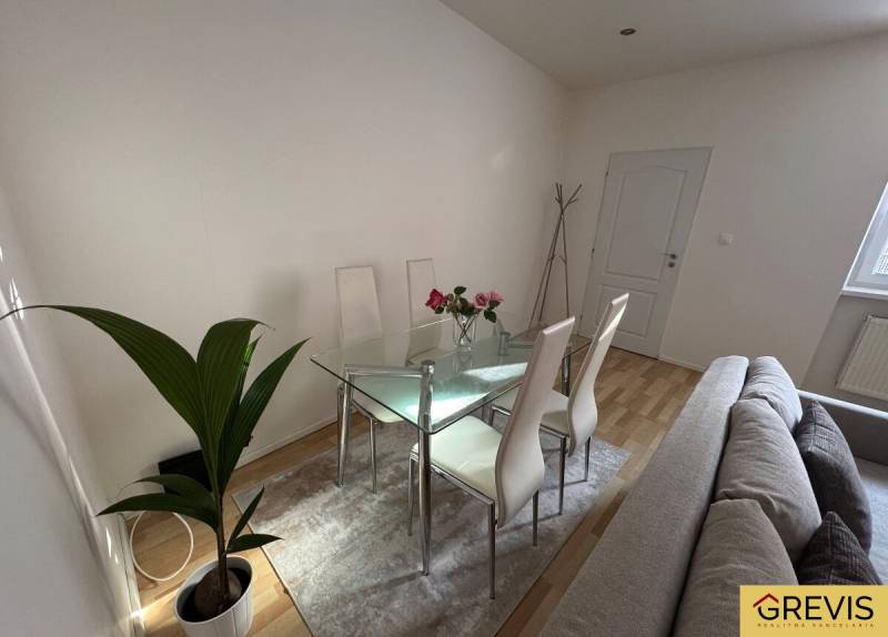 Glass dining table with four chairs in a 2-room apartment, next to a plant.
