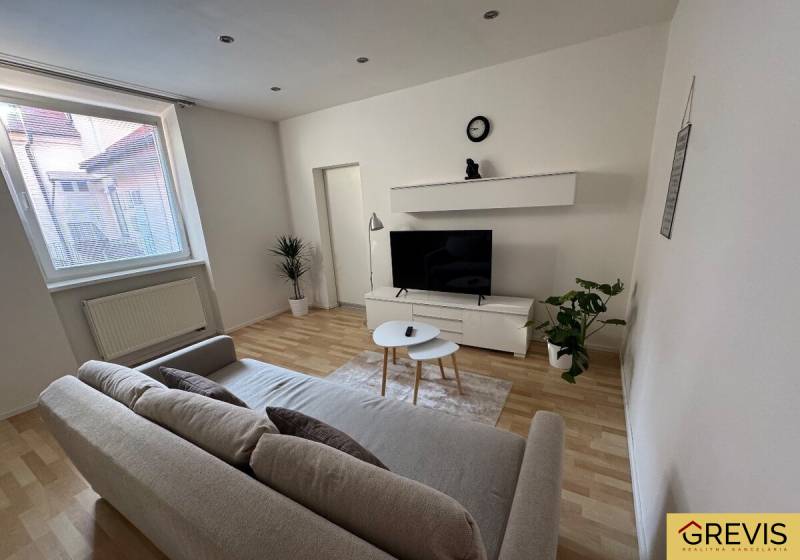 Living room with a sofa and a television, light walls and wooden floor, 2-room apartment.
