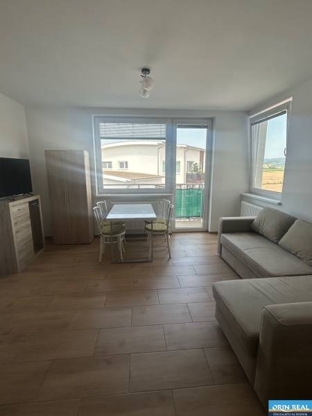 Living room in a three-room apartment with a sofa, table, and television.