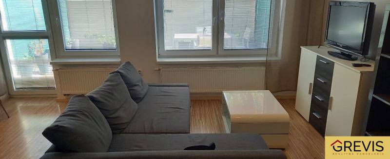 Living room in a two-room apartment with a dark gray sofa and a television.