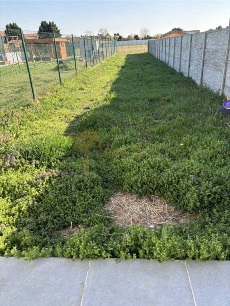 The garden of a family house on Platanova Street in Miloslavov with grass and fencing.