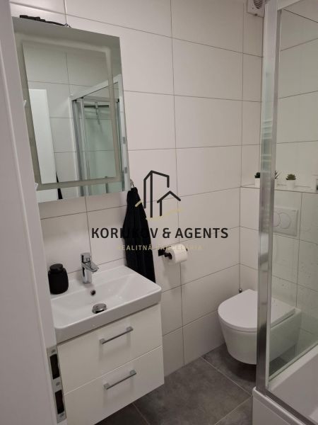 Bathroom in a 2-room apartment with a sink, mirror, and shower corner.