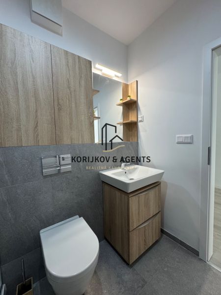 Bathroom in a studio apartment with wood-patterned flooring, a sink, and a toilet.
