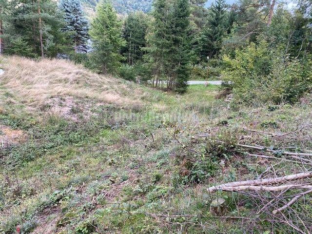 Plots - living in Kremnické Bane with surroundings full of trees and grass.