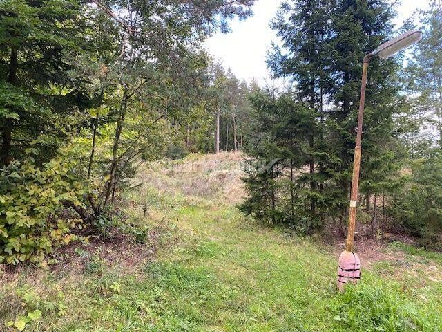 A forest plot in Kremnické Bane ideal for living, surrounded by greenery and trees.