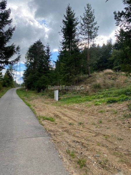 A reinforced road runs alongside a forest plot suitable for living in Kremnické Bane.
