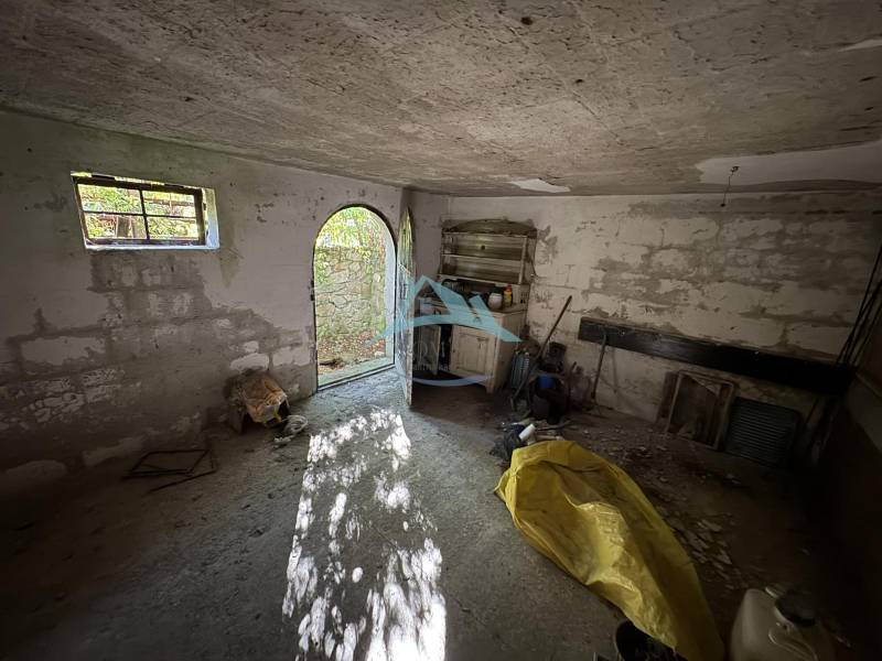 A spacious room with open doors, concrete walls, and diffused natural light in the Cabin.