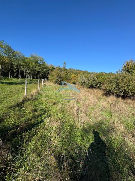 The garden at the cottage in Veľké Turovce is bordered by a fence, surrounded by trees and shrubs.