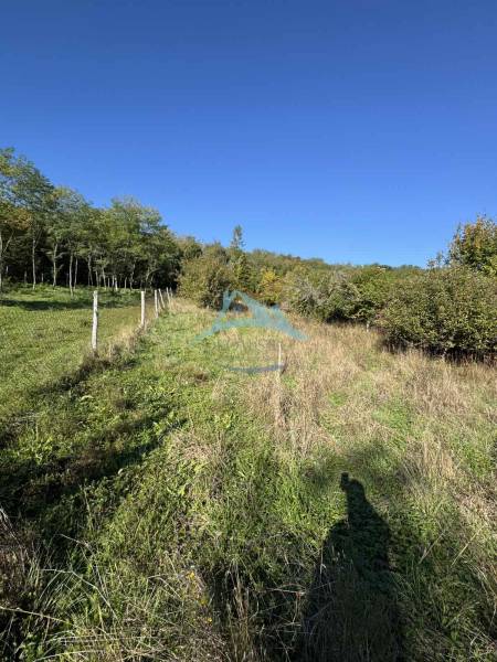 A slope with grass and shrubs near a cottage in Veľké Turovce under a blue sky.
