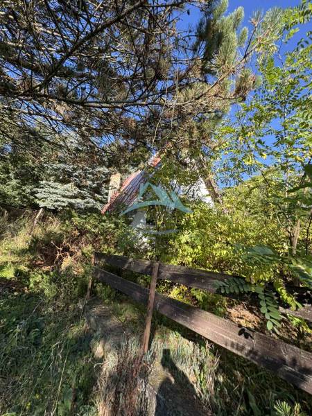 A cottage in Veľké Turovce surrounded by lush greenery and a wooden fence.