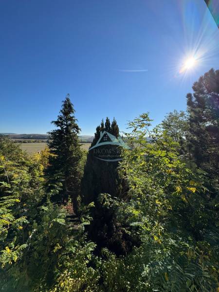 Sunny view of trees and landscape near the Cottage in Veľké Turovce.