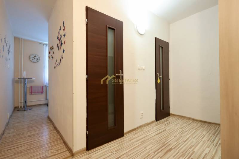 A hallway in a one-room apartment with a wood-patterned floor and dark doors.