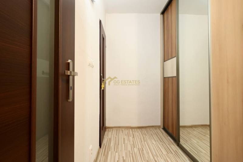 A hallway with a sliding wardrobe and a wooden decor floor in a studio apartment.