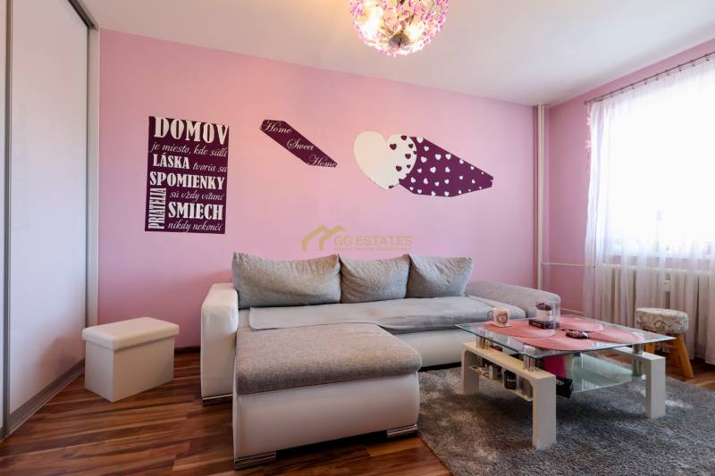 Living room in a studio apartment with a pink wall, gray sofa, and wood-patterned flooring.