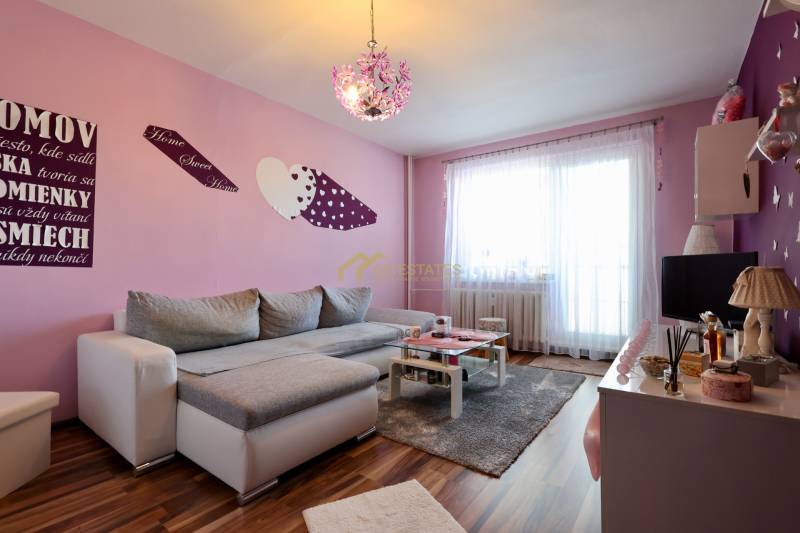 Living room in a studio apartment with pink walls and wood-patterned flooring.