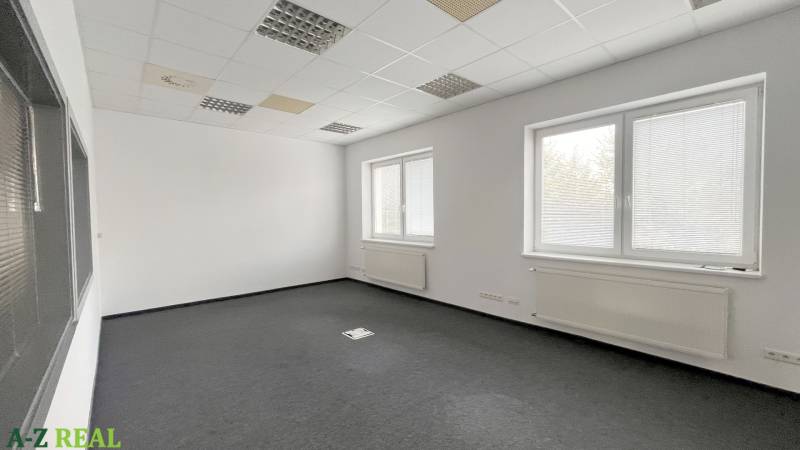 Offices with light walls, black carpet, and ceiling panels.