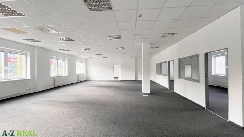 Spacious offices with gray carpet and rows of windows.