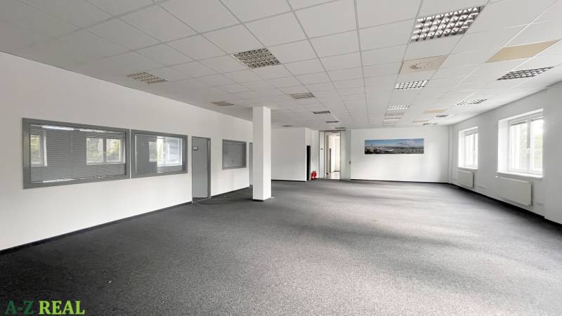 Spacious offices with carpet, white walls, and large windows.