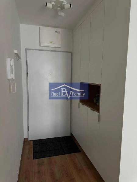 Entrance hallway with wood-patterned flooring and built-in storage in a 2-room apartment.