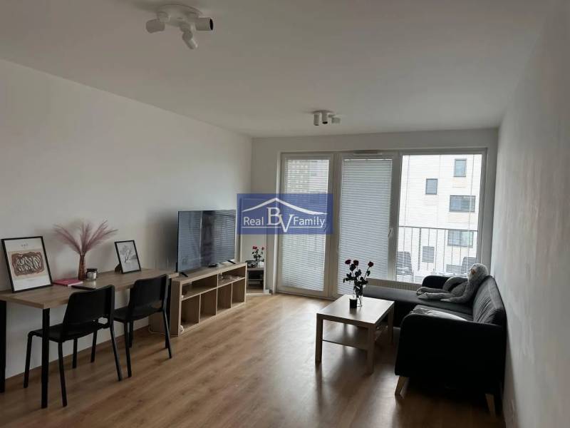Living room in a two-room apartment with a wooden decor floor, sofa, and television.