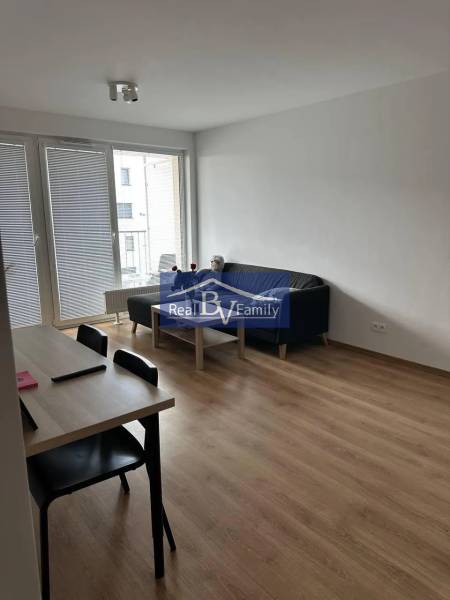 Living room in a two-room apartment with a wooden decor floor and a dining table.