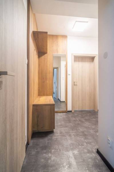 Interior of a 2-room apartment with wood decor flooring and a large mirror.