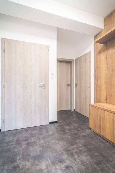 Interior of a 2-room apartment with dark flooring and wooden doors.