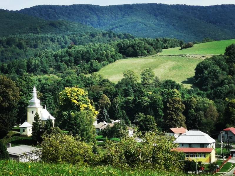 Unique properties in the village of Výrava surrounded by green hills and dense forest.