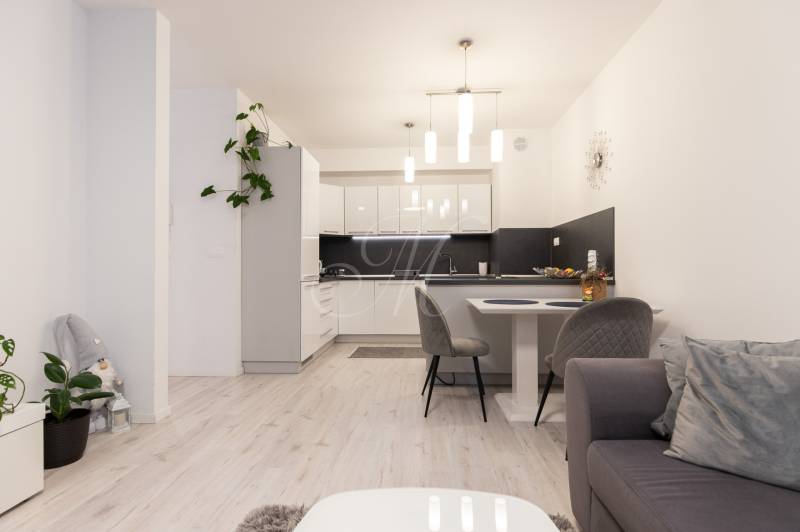 Interior of a 2-room apartment with a bright living room, kitchen with a dining table, and flooring with a wooden decor.