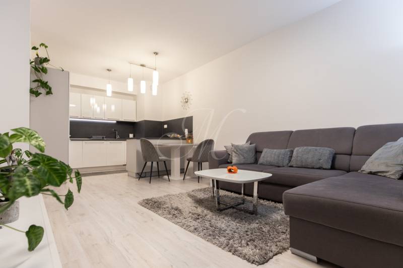 Living room with a kitchen, sofa, table, and wooden decor flooring in a two-room apartment.