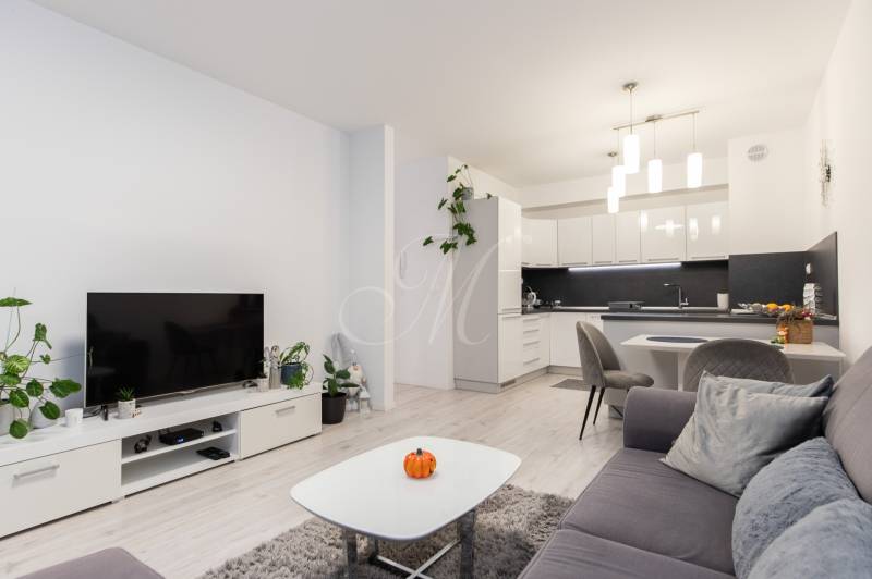 Living room in a two-room apartment with an open kitchen and a wooden decor floor.