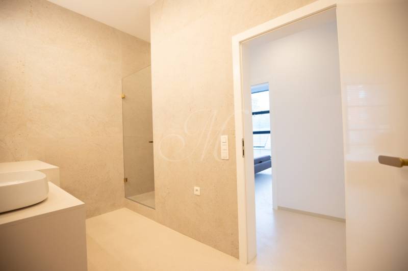 Modern bathroom with a sink, shower, and view into the living area.