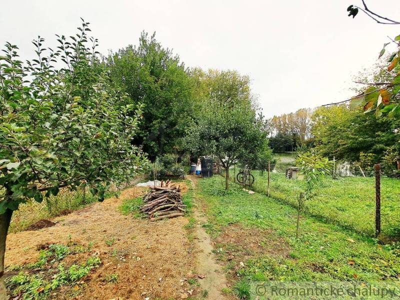 The garden of the family house in Ľudovítová with fruit trees and a pile of wood.