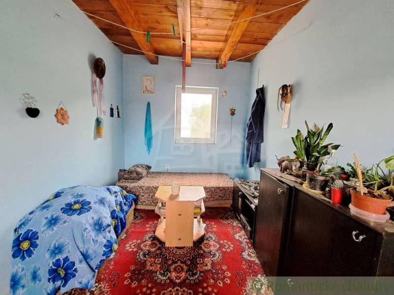 A room in a family house with plants, a wooden ceiling, a carpet, and a sofa with a blue blanket.