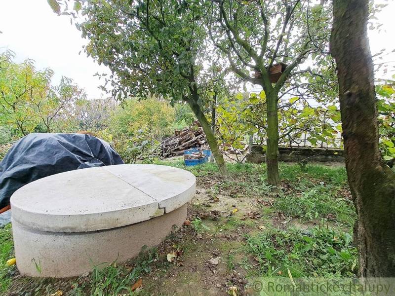 Garden in Ľudovítová with a concrete cover and trees near the family house.