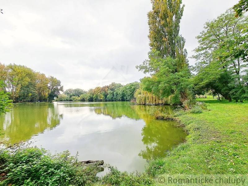 A lake with a tree-lined shore in Ľudovítova near a family house.