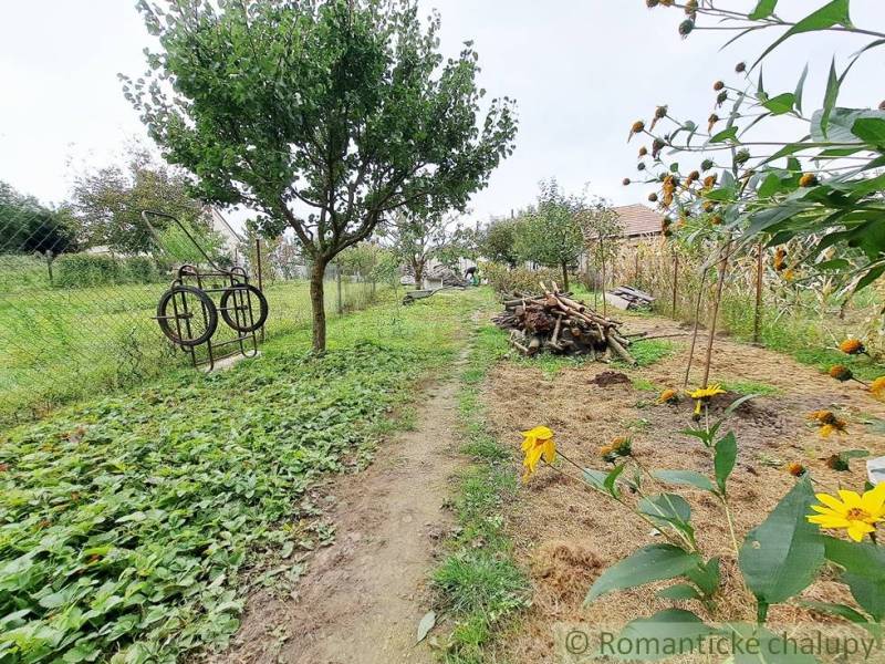 A garden in a family house in Ľudovítová with fruit trees and a stack of wood.